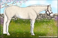 Horse Color:Cremello Sabino and Cremello Sabino