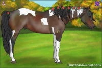 Horse Color:Bay Tobiano 