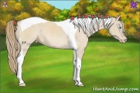 Horse Color:Perlino Tobiano 
