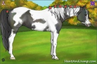 Horse Color:Smoky Black Tobiano Frame 