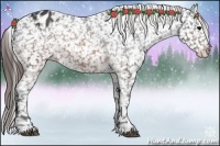 Horse Color:Brown Appaloosa