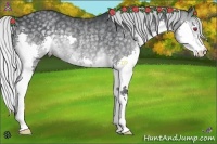 Horse Color:Silver Black Chinchilla Splash Rabicano