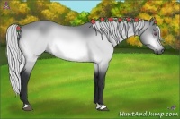 Horse Color:Silver Bay Chinchilla