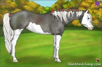 Horse Color:Liver Chestnut Mushroom Splash Varnish 