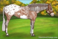 Horse Color:White Spotted Silver Brown Frame Appaloosa Rabicano