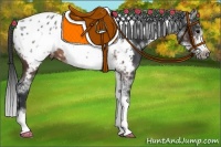 Horse Color:Brown Sabino Frame Appaloosa Rabicano