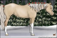 Horse Color:Silver Grullo Pearl