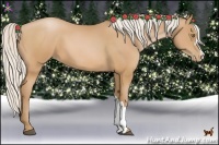Horse Color:Silver Bay Pearl 