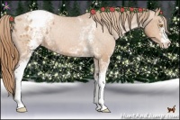 Horse Color:White Spotted Bay Pearl Appaloosa 