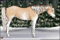 Horse Color:White Spotted Silver Bay Pearl