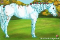 Horse Color:Thunderstruck Silver Bay Dun Splash Frame Appaloosa Rabicano 