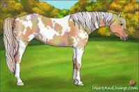 Horse Color:Nacre White Spotted Red Dun 