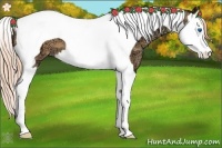 Horse Color:Gold Champagne Ice Splash Tobiano
