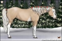 Horse Color:White Spotted Silver Black Pearl Splash 