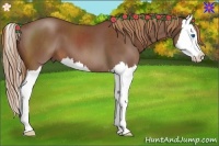 Horse Color:Red Roan Splash 