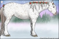 Horse Color:Brown Appaloosa