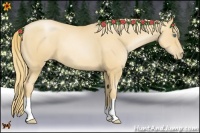 Horse Color:Gold Champagne Pearl