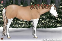Horse Color:Bay Pearl Splash 