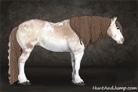 Horse Color:Blue Onyx Ice Pearl Sabino