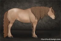 Horse Color:Brown Pearl Rabicano 