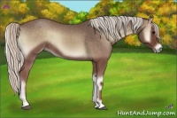 Horse Color:Silver Blue Onyx 