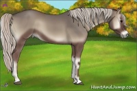 Horse Color:Silver Blue Onyx