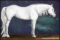 Horse Color:Cremello Dun Sabino Appaloosa  and Perlino Dun Sabino Appaloosa 