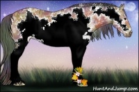 Horse Color:Nacre White Spotted Bay Ice Sabino Frame 