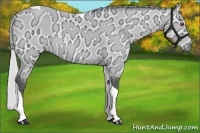 Horse Color:Silver Bay Chinchilla Ice Tobiano 