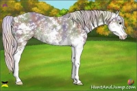 Horse Color:Nacre Silver Smoky Black Sabino 