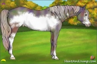 Horse Color:Nacre Silver Black Sabino Frame 