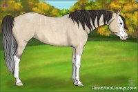 Horse Color:Bay Ice Roan Dun Splash