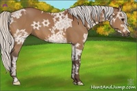 Horse Color:Silver Bay Ice 