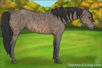 Horse Color:Buckskin Ice 
