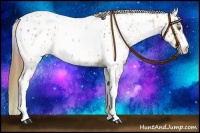 Horse Color:Nacre White Spotted Chocolate Brown Pearl Blanket  and Nacre White Spotted Chestnut Pearl 