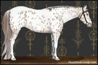 Horse Color:Sable Champagne Tobiano Near Leopard Rabicano 