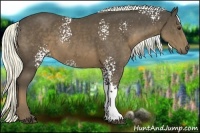 Horse Color:White Spotted Liver Chestnut Rabicano 