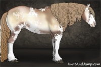 Horse Color:Liver Red Onyx Pearl Sabino