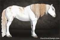 Horse Color:Red Onyx Pearl Sabino Splash Rabicano