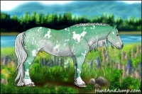 Horse Color:Watercolor White Spotted Silver Black Chinchilla 