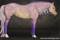 Horse Color:Watercolor Silver Brown Ice Dun