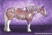 Horse Color:Watercolor White Spotted Silver Brown 