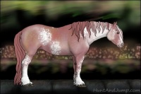 Horse Color:Watercolor White Spotted Liver Chestnut 