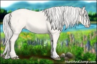 Horse Color:Silver Smoky Creme 