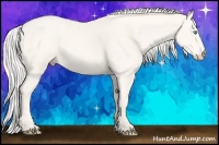 Horse Color:Silver Smoky Creme