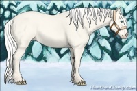 Horse Color:Silver Smoky Creme 
