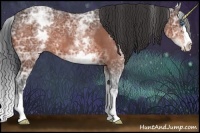 Horse Color:White Spotted Bay Ice Splash 