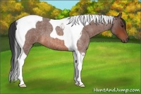 Horse Color:Bay Roan Tobiano