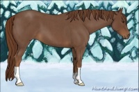 Horse Color:Red Roan