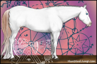 Horse Color:Bay Splash Tobiano Appaloosa